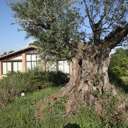 Hôtel Chalet Domaine De Combe Ramond à Veilhes Extérieur photo