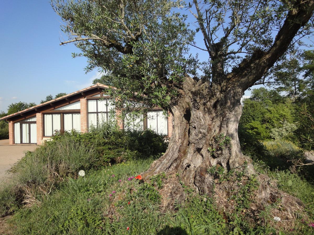 Hôtel Chalet Domaine De Combe Ramond à Veilhes Extérieur photo